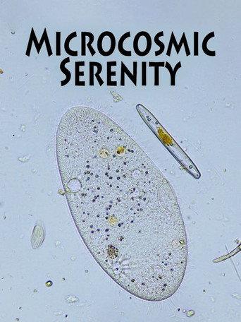 Microcosmic Serenity () poster