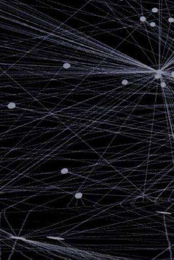 Social Geometry (2024) poster