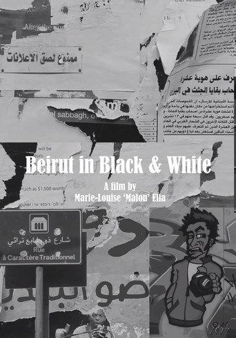 Beirut in Black & White () poster