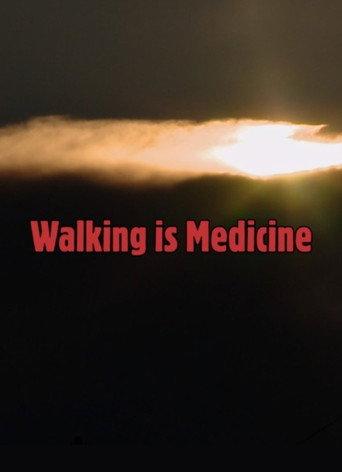 Walking Is Medicine (2017) poster