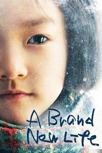 A Brand New Life (2009) poster
