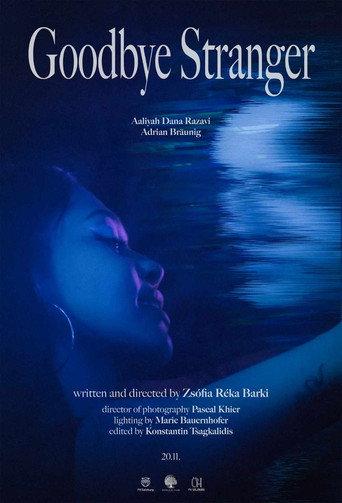 Goodbye Stranger (2025) poster