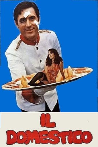 The Household (1974) poster