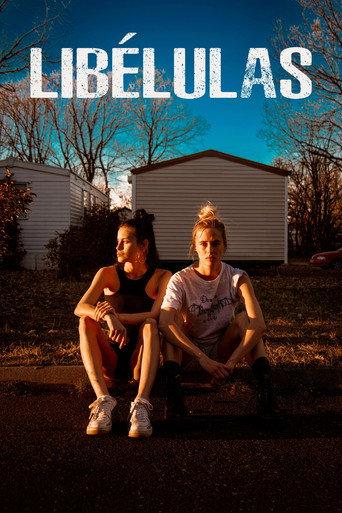 Dragonflies (2022) poster