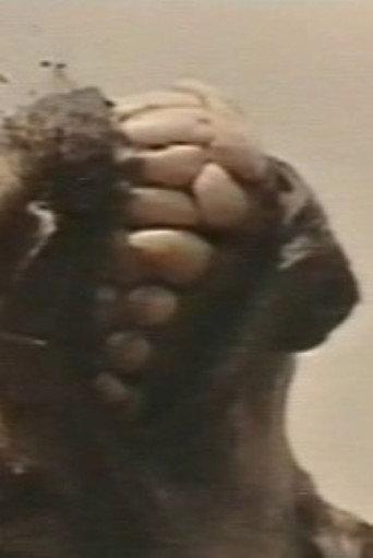 Africa addio (Plagium 11) (1996) poster