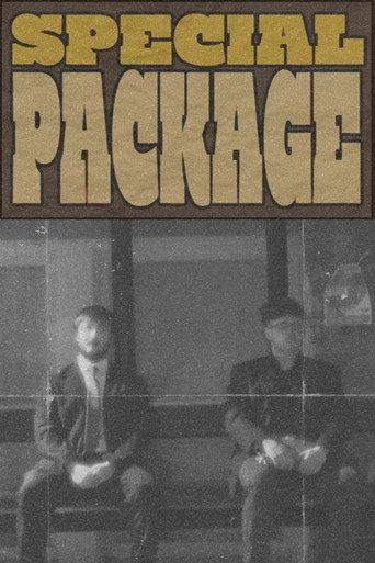Special Package (2026) poster