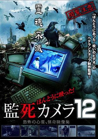 Paranormal Surveillance Camera 12 (2015) poster