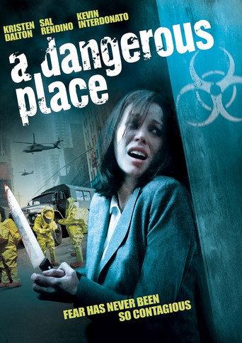 A Dangerous Place (2012) poster