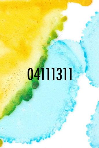 04111311 (2021) poster