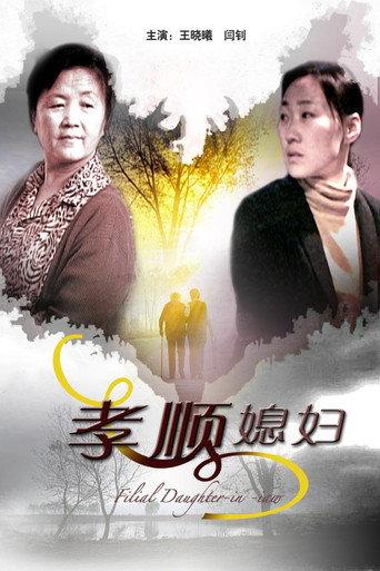孝顺媳妇 (2009) poster