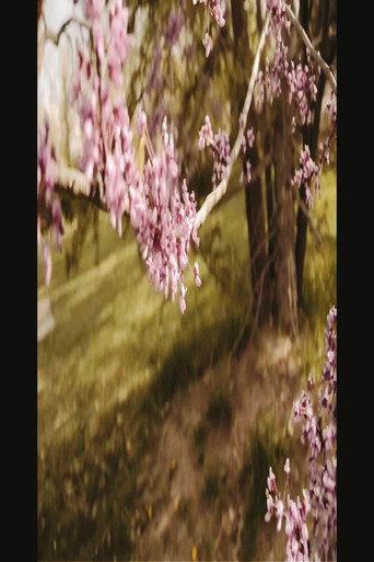 3/1 and 3/3 (Bountiful Gems) (2021) poster