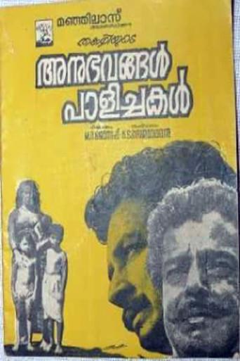 Anubhavangal Palichakal (1971) poster