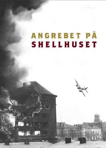 The Shellhouse Raid (2013) poster