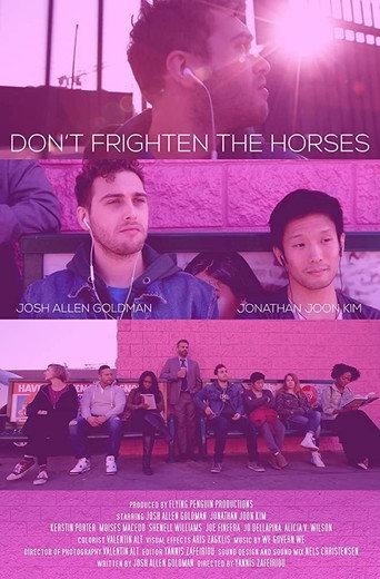 Don't Frighten the Horses () poster