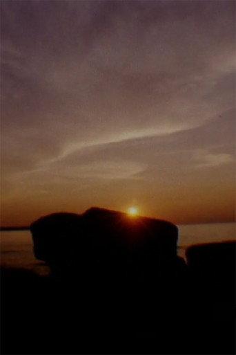 This Film Has No Commercial Value (2006) poster