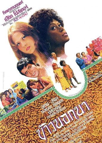 The American Surplus (1975) poster
