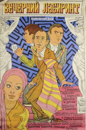 The Evening Labyrinth (1980) poster