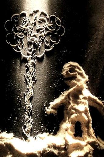 The Birth (2009) poster