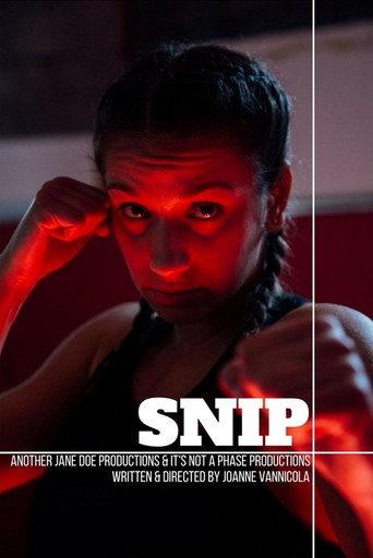 Snip (2017) poster