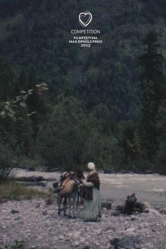 Gold Rush (2025) poster