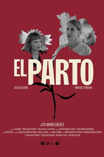 El Parto () poster