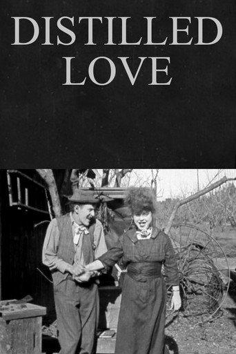Distilled Love (1920) poster
