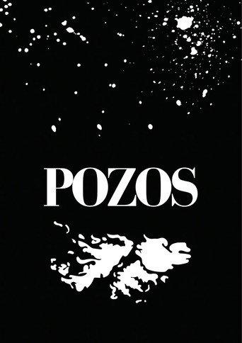 Pozos (2026) poster