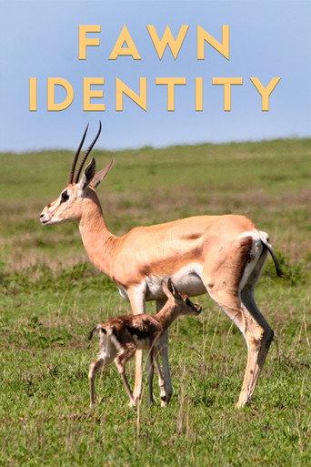 Fawn Identity (2022) poster