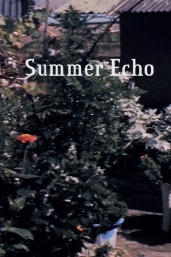 Summer Echo (2017) poster