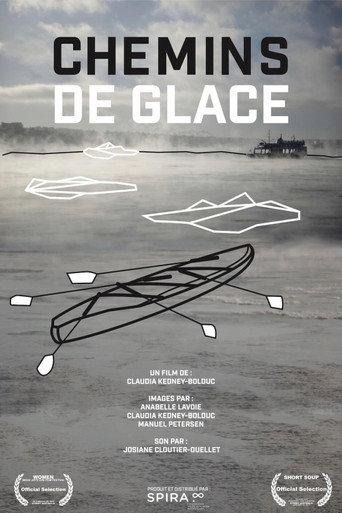 Chemins de glace (2016) poster