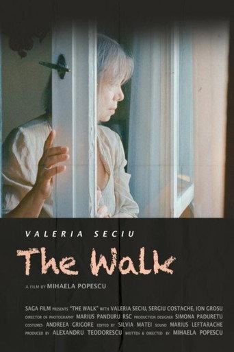 The Walk (2014) poster