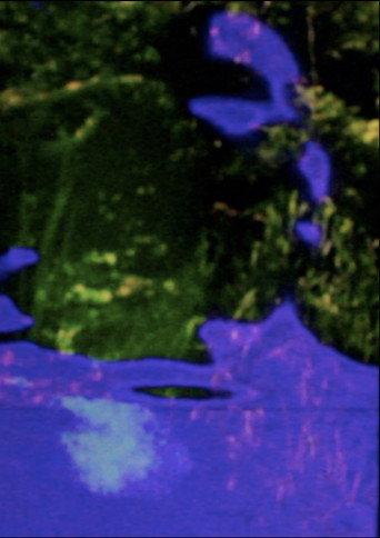 The Spine Folds Far Away (2020) poster