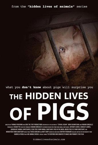 The Hidden Lives of Pigs (2025) poster