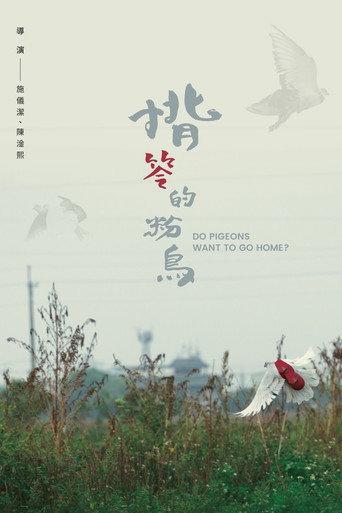 Do Pigeons Want to Go Home? (2025) poster