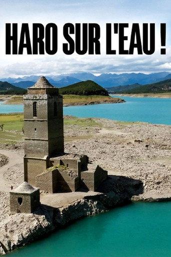 Haro auf das Wasser! Flüsse in Not () poster