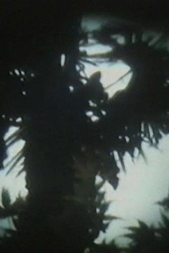 Eizō Shokan 5 (1994) poster
