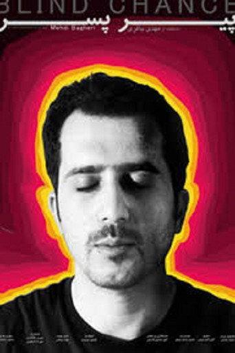 Reluctant Bachelor (2011) poster