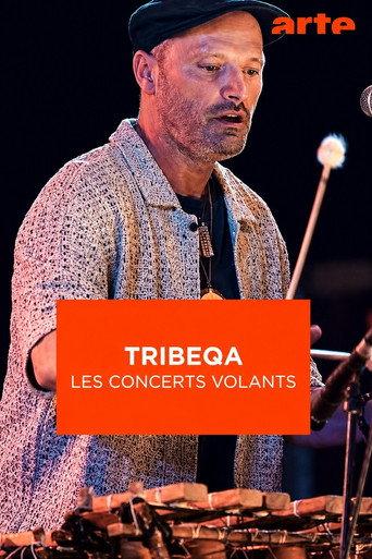 TribeQa - Les Concerts Volants (2025) poster