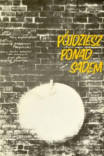 You will succeed (1974) poster