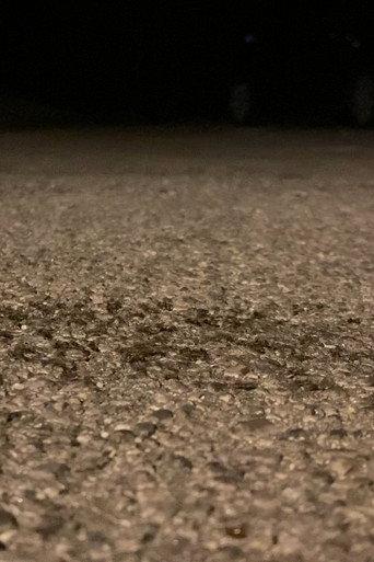 Snails Steadily Stroll the Street 2: Diligent Dirt-Dwellers Dash (Snails Steadily Stroll Lenin Nightcore Remix) (2024) poster