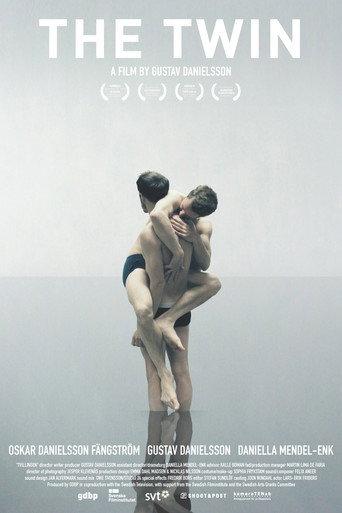 The Twin (2011) poster