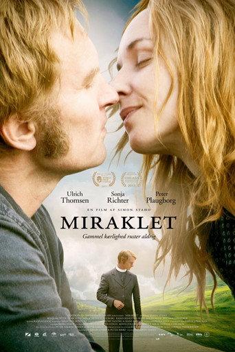 The Miracle (2013) poster