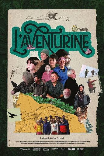 L'aventurine (2026) poster