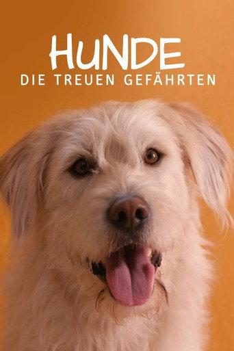 For Dog’s Sake (2018) poster