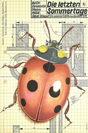 Last Days of Summer (1976) poster
