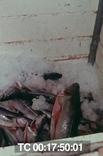 Le poisson commande... (1976) poster