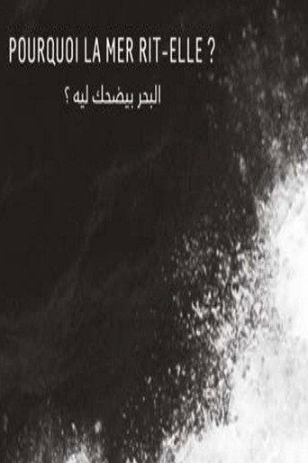 Why Does the Sea Laugh? (2019) poster