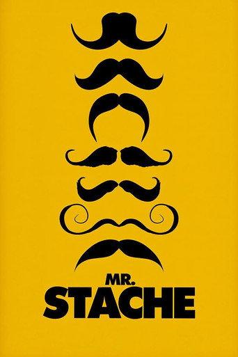 Mr. Stache (2011) poster