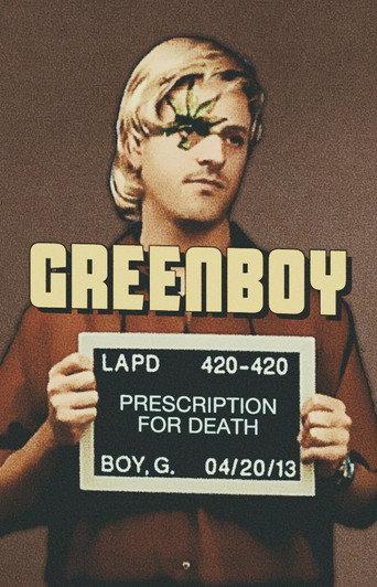 Greenboy: Prescription for Death (2013) poster
