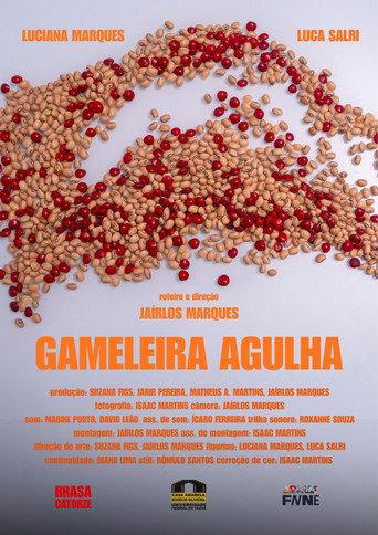Gameleira Agulha (2026) poster